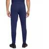 Nike Dri-Fit Academy 25 M Kelnės FZ9805 410