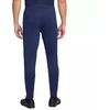 Nike Dri-Fit Academy 25 M Kelnės FZ9805 410