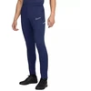 Nike Dri-Fit Academy 25 M Kelnės FZ9805 410