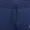 Nike Dri-Fit Academy 25 M Kelnės FZ9805 410