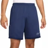 Nike Dri-Fit Academy 25 M Šortai FZ9776 410