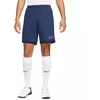 Nike Dri-Fit Academy 25 M Šortai FZ9776 410
