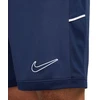 Nike Dri-Fit Academy 25 M Šortai FZ9776 410