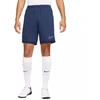 Nike Dri-Fit Academy 25 M Šortai FZ9776 410