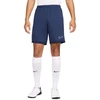 Nike Dri-Fit Academy 25 M Šortai FZ9776 410