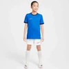 Nike Dri-Fit Academy 25 moksleivių trumpas rankoves marškinėliai FZ9758 463