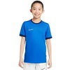 Nike Dri-Fit Academy 25 moksleivių trumpas rankoves marškinėliai FZ9758 463