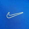 Nike Dri-Fit Academy 25 moksleivių trumpas rankoves marškinėliai FZ9758 463