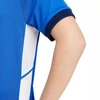 Nike Dri-Fit Academy 25 moksleivių trumpas rankoves marškinėliai FZ9758 463