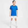 Nike Dri-Fit Academy 25 moksleivių trumpas rankoves marškinėliai FZ9758 463