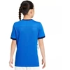Nike Dri-Fit Academy 25 moksleivių trumpas rankoves marškinėliai FZ9758 463