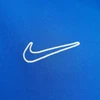 Nike Dri-Fit Academy 25 moksleivių trumpas rankoves marškinėliai FZ9758 463