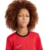 Nike Dri-Fit Academy 25 Moksliškai T-Shirt FZ9758 657
