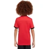 Nike Dri-Fit Academy 25 Moksliškai T-Shirt FZ9758 657