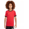 Nike Dri-Fit Academy 25 Moksliškai T-Shirt FZ9758 657