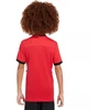 Nike Dri-Fit Academy 25 Moksliškai T-Shirt FZ9758 657