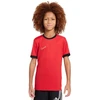 Nike Dri-Fit Academy 25 Moksliškai T-Shirt FZ9758 657