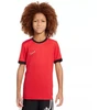 Nike Dri-Fit Academy 25 Moksliškai T-Shirt FZ9758 657