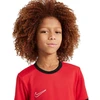 Nike Dri-Fit Academy 25 Moksliškai T-Shirt FZ9758 657