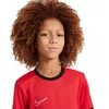 Nike Dri-Fit Academy 25 Moksliškai T-Shirt FZ9758 657