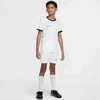 Nike Dri-Fit Academy 25 SS Jr FZ9758 100 Marškinėliai