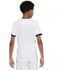 Nike Dri-Fit Academy 25 SS Jr FZ9758 100 Marškinėliai