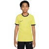 Nike Dri-Fit Academy 25 SS Jr Marškinėliai FZ9758 719