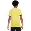 Nike Dri-Fit Academy 25 SS Jr Marškinėliai FZ9758 719