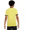 Nike Dri-Fit Academy 25 SS Jr Marškinėliai FZ9758 719