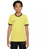 Nike Dri-Fit Academy 25 SS Jr Marškinėliai FZ9758 719