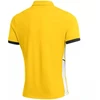 Nike Dri-Fit Academy 25 SS Polo marškinėliai M FZ9759 719