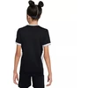 Nike Dri-Fit Academy 25 trumpinys trumpinys trumpinys trumpinys trumpinys FZ9758 010