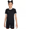 Nike Dri-Fit Academy 25 trumpinys trumpinys trumpinys trumpinys trumpinys FZ9758 010