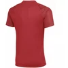 Nike Dri-Fit Academy II Vyriški marškinėliai Raudoni HV8160 657