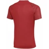 Nike Dri-Fit Academy II Vyriški marškinėliai Raudoni HV8160 657