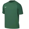 Nike Dri-Fit Academy II Vyriški marškinėliai Žali HV8160 302