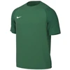 Nike Dri-Fit Academy II Vyriški marškinėliai Žali HV8160 302