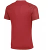 Nike Dri-Fit Academy II Vyriški marškinėliai Raudoni HV8160 657