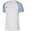 Nike Dri-FIT Academy Jsy SS M DH8031 102 marškinėliai