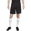 Nike Dri-FIT Academy M DV9742 010 šortai