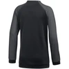 Nike Dri FIT Academy Pro Jr. džemperis DH9283 011