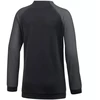 Nike Dri FIT Academy Pro Jr. džemperis DH9283 011