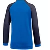 Nike Dri FIT Academy Pro Jr. džemperis DH9283 463