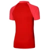 Nike Dri-FIT Academy Pro M Marškinėliai Polo DH9228-657