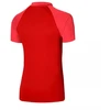 Nike Dri-FIT Academy Pro M Marškinėliai Polo DH9228-657