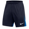 Nike Dri-FIT Academy Pro M Šortai DH9236-451