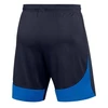 Nike Dri-FIT Academy Pro M Šortai DH9236-451