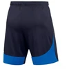 Nike Dri-FIT Academy Pro M Šortai DH9236-451