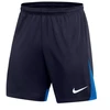 Nike Dri-FIT Academy Pro M Šortai DH9236-451
