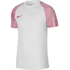 Nike Dri-Fit Academy SS M DH8031-100 Marškinėliai